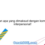 Jelaskan apa yang dimaksud dengan komunikasi interpersonal!