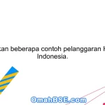 Sebutkan beberapa contoh pelanggaran HAM di Indonesia.