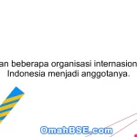 Sebutkan beberapa organisasi internasional yang Indonesia menjadi anggotanya.