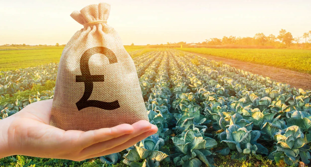 Italian Agribusiness: Career Prospects