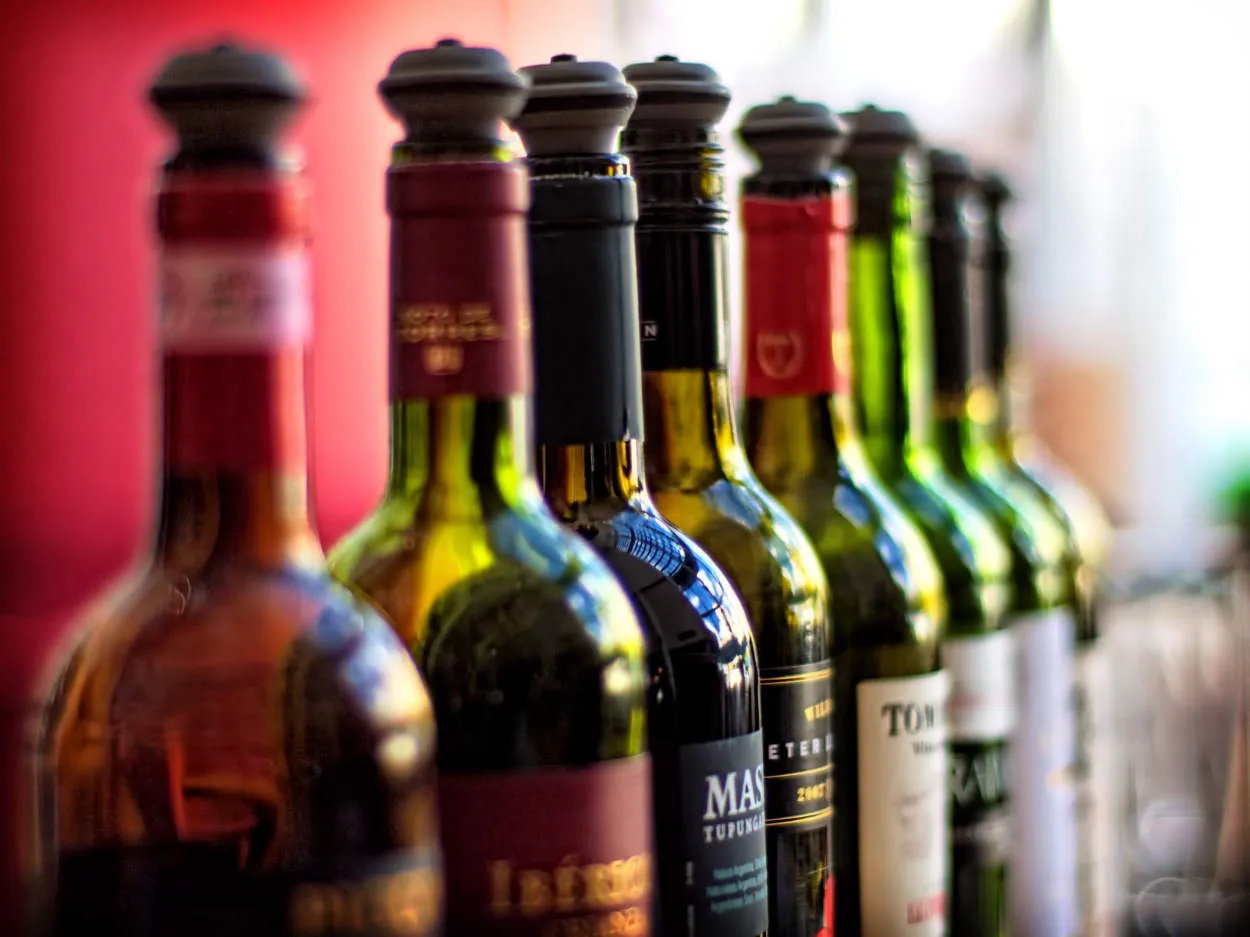 Italian Wine Industry: Career Opportunities