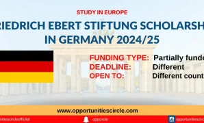 Leveraging Your Future with a Friedrich Ebert Stiftung Scholarship in Germany